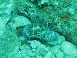 2009-09-10 11-28-51S